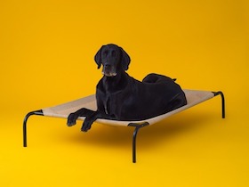 CPETBEDXL|
Hundeliege Outdoor erhöhtes Hundebett Haustierliege verschiedene Farben & Größen -  Hundebetten
