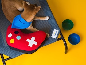 
hundebett hochbett - 
Hundeliege Outdoor erhöhtes Hundebett Haustierliege verschiedene Farben & Größen - 
hundehochbett - intr01